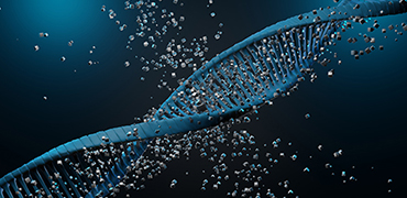 合成生物学和抗体工程学中DNA文库的构建-金斯瑞