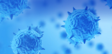 高效慢病毒制备系统在体外细胞模型构建中的应用-金斯瑞
