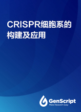 CRISPR细胞系的构建及应用