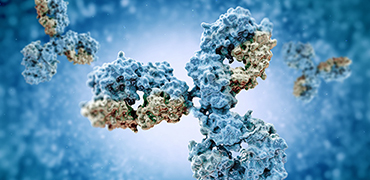 单B细胞筛选平台助力抗体研发-金斯瑞